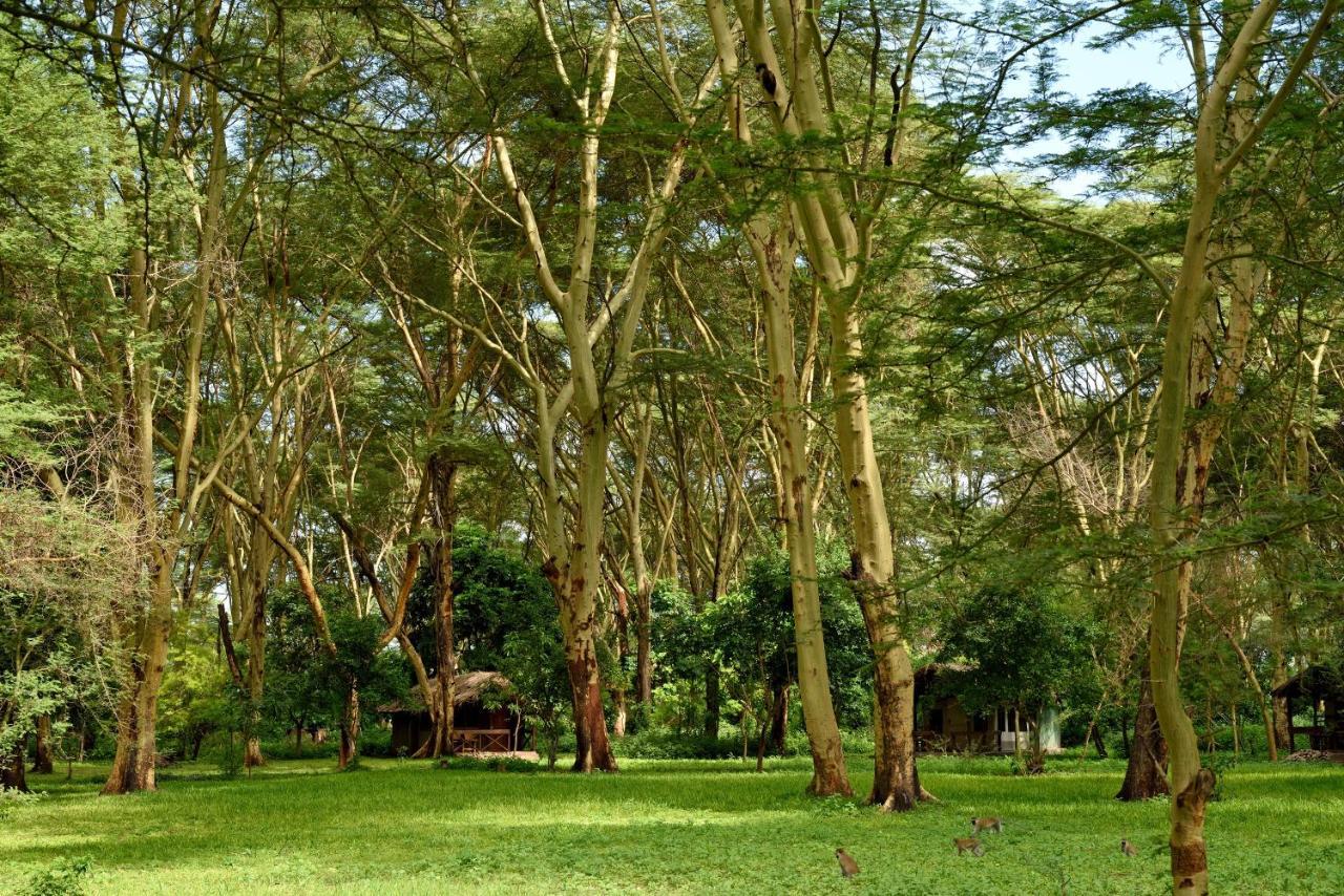 Migunga Tented Camp متو ومبو المظهر الخارجي الصورة