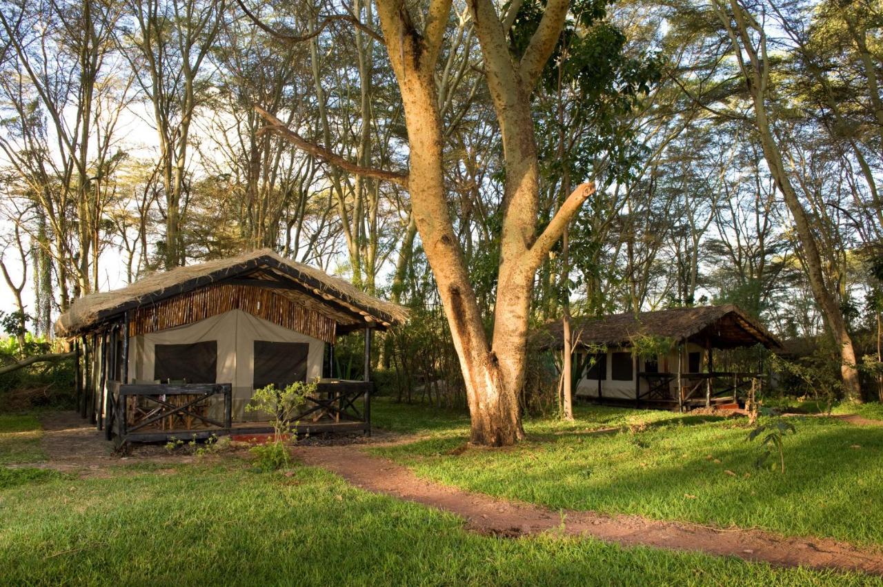 Migunga Tented Camp متو ومبو المظهر الخارجي الصورة